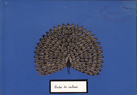 198. Jacques Hnizdovsky, Blue Peacock, 1980